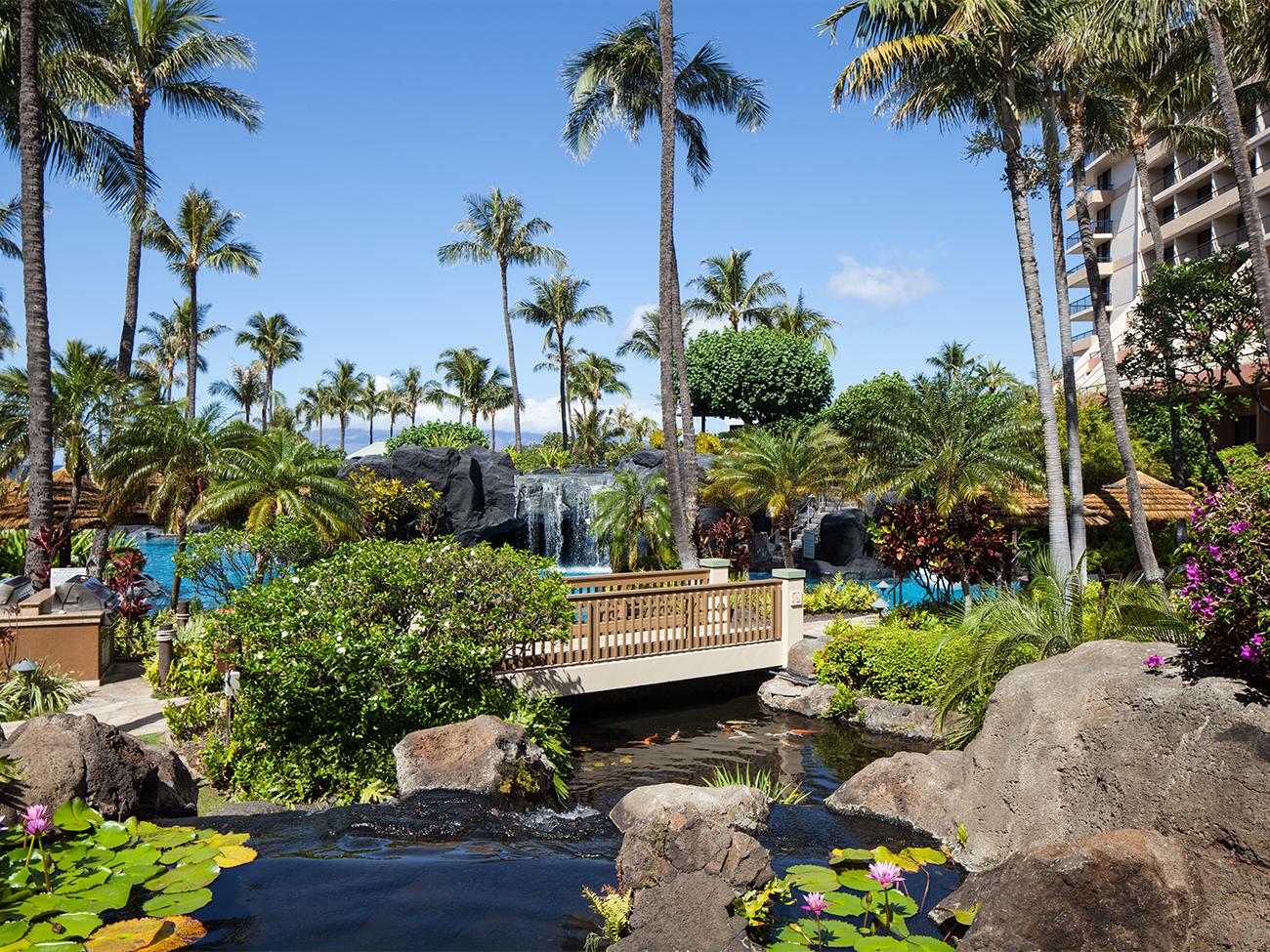 Resort Grounds - Koi Pond